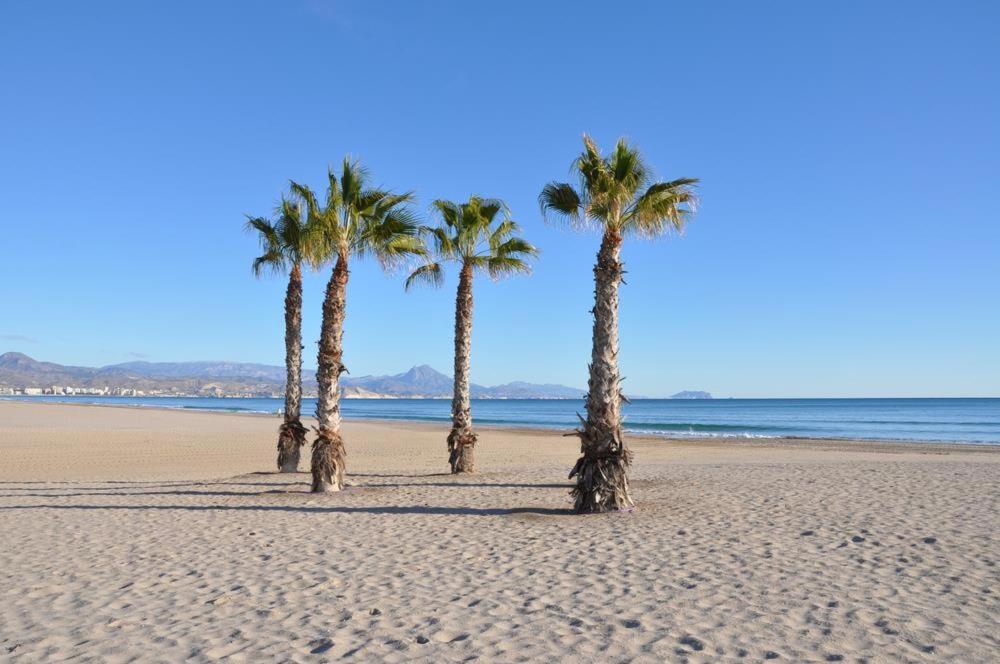 Playa De San Juan Apartment Benimagrell Εξωτερικό φωτογραφία